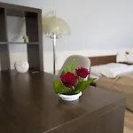 Ξενοδοχείο Koniuszy 2*