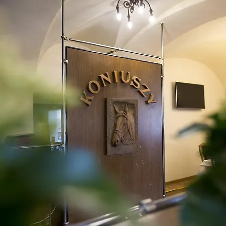 Koniuszy Srebrna Góra