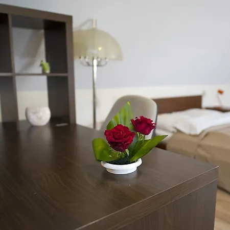 Отель Koniuszy 2*