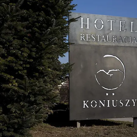 Koniuszy 酒店 Srebrna Góra