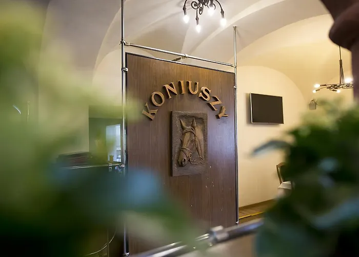 Koniuszy Srebrna Góra