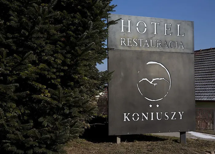 Koniuszy Hotel Srebrna Góra
